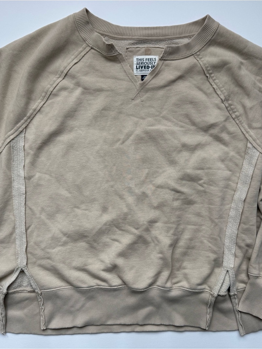 Fall Cozy Cabincore Staple Casual Streetwear American Eagle Sweatshirt